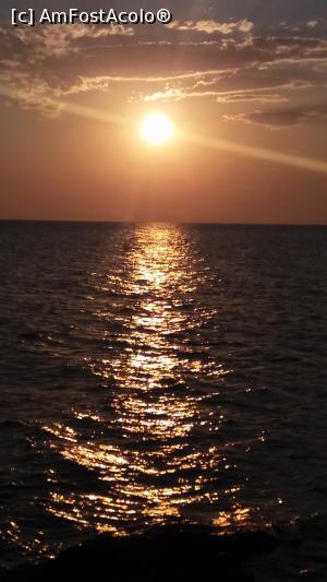 [P08]  -- <small>// FĂRĂ DESCRIERE</small> » foto by Mugurop
 - 
<span class="allrVoted glyphicon glyphicon-heart hidden" id="av787390"></span>
<a class="m-l-10 hidden" id="sv787390" onclick="voting_Foto_DelVot(,787390,9990)" role="button">șterge vot <span class="glyphicon glyphicon-remove"></span></a>
<a id="v9787390" class=" c-red"  onclick="voting_Foto_SetVot(787390)" role="button"><span class="glyphicon glyphicon-heart-empty"></span> <b>LIKE</b> = Votează poza</a> <img class="hidden"  id="f787390W9" src="/imagini/loader.gif" border="0" /><span class="AjErrMes hidden" id="e787390ErM"></span>