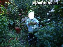[P22] Am explorat și eu mica grădină cu flori a pensiunii! » foto by Floryn81
 - 
<span class="allrVoted glyphicon glyphicon-heart hidden" id="av312533"></span>
<a class="m-l-10 hidden" id="sv312533" onclick="voting_Foto_DelVot(,312533,10049)" role="button">șterge vot <span class="glyphicon glyphicon-remove"></span></a>
<a id="v9312533" class=" c-red"  onclick="voting_Foto_SetVot(312533)" role="button"><span class="glyphicon glyphicon-heart-empty"></span> <b>LIKE</b> = Votează poza</a> <img class="hidden"  id="f312533W9" src="/imagini/loader.gif" border="0" /><span class="AjErrMes hidden" id="e312533ErM"></span>