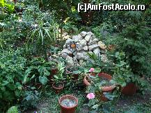 [P23] Un mic aranjament printre plante » foto by Floryn81
 - 
<span class="allrVoted glyphicon glyphicon-heart hidden" id="av312534"></span>
<a class="m-l-10 hidden" id="sv312534" onclick="voting_Foto_DelVot(,312534,10049)" role="button">șterge vot <span class="glyphicon glyphicon-remove"></span></a>
<a id="v9312534" class=" c-red"  onclick="voting_Foto_SetVot(312534)" role="button"><span class="glyphicon glyphicon-heart-empty"></span> <b>LIKE</b> = Votează poza</a> <img class="hidden"  id="f312534W9" src="/imagini/loader.gif" border="0" /><span class="AjErrMes hidden" id="e312534ErM"></span>