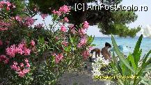 [P08] plaja Kalogria Beach » foto by adryana
 - 
<span class="allrVoted glyphicon glyphicon-heart hidden" id="av101325"></span>
<a class="m-l-10 hidden" id="sv101325" onclick="voting_Foto_DelVot(,101325,10079)" role="button">șterge vot <span class="glyphicon glyphicon-remove"></span></a>
<a id="v9101325" class=" c-red"  onclick="voting_Foto_SetVot(101325)" role="button"><span class="glyphicon glyphicon-heart-empty"></span> <b>LIKE</b> = Votează poza</a> <img class="hidden"  id="f101325W9" src="/imagini/loader.gif" border="0" /><span class="AjErrMes hidden" id="e101325ErM"></span>