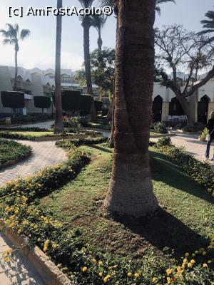 [P02]  -- <small>// FĂRĂ DESCRIERE</small> » foto by emny*
 - 
<span class="allrVoted glyphicon glyphicon-heart hidden" id="av1345463"></span>
<a class="m-l-10 hidden" id="sv1345463" onclick="voting_Foto_DelVot(,1345463,10127)" role="button">șterge vot <span class="glyphicon glyphicon-remove"></span></a>
<a id="v91345463" class=" c-red"  onclick="voting_Foto_SetVot(1345463)" role="button"><span class="glyphicon glyphicon-heart-empty"></span> <b>LIKE</b> = Votează poza</a> <img class="hidden"  id="f1345463W9" src="/imagini/loader.gif" border="0" /><span class="AjErrMes hidden" id="e1345463ErM"></span>