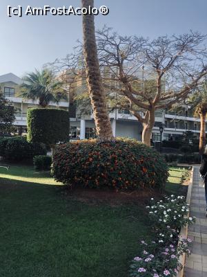 [P03]  -- <small>// FĂRĂ DESCRIERE</small> » foto by emny*
 - 
<span class="allrVoted glyphicon glyphicon-heart hidden" id="av1345464"></span>
<a class="m-l-10 hidden" id="sv1345464" onclick="voting_Foto_DelVot(,1345464,10127)" role="button">șterge vot <span class="glyphicon glyphicon-remove"></span></a>
<a id="v91345464" class=" c-red"  onclick="voting_Foto_SetVot(1345464)" role="button"><span class="glyphicon glyphicon-heart-empty"></span> <b>LIKE</b> = Votează poza</a> <img class="hidden"  id="f1345464W9" src="/imagini/loader.gif" border="0" /><span class="AjErrMes hidden" id="e1345464ErM"></span>