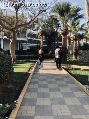 [P04]  -- <small>// FĂRĂ DESCRIERE</small> » foto by emny*
 - 
<span class="allrVoted glyphicon glyphicon-heart hidden" id="av1345465"></span>
<a class="m-l-10 hidden" id="sv1345465" onclick="voting_Foto_DelVot(,1345465,10127)" role="button">șterge vot <span class="glyphicon glyphicon-remove"></span></a>
<a id="v91345465" class=" c-red"  onclick="voting_Foto_SetVot(1345465)" role="button"><span class="glyphicon glyphicon-heart-empty"></span> <b>LIKE</b> = Votează poza</a> <img class="hidden"  id="f1345465W9" src="/imagini/loader.gif" border="0" /><span class="AjErrMes hidden" id="e1345465ErM"></span>