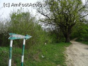 [P01] Intrăm în pădurea de lângă satul Rățoaia.  » foto by tata123 🔱
 - 
<span class="allrVoted glyphicon glyphicon-heart hidden" id="av958833"></span>
<a class="m-l-10 hidden" id="sv958833" onclick="voting_Foto_DelVot(,958833,10135)" role="button">șterge vot <span class="glyphicon glyphicon-remove"></span></a>
<a id="v9958833" class=" c-red"  onclick="voting_Foto_SetVot(958833)" role="button"><span class="glyphicon glyphicon-heart-empty"></span> <b>LIKE</b> = Votează poza</a> <img class="hidden"  id="f958833W9" src="/imagini/loader.gif" border="0" /><span class="AjErrMes hidden" id="e958833ErM"></span>
