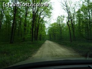 [P02] Drum forestier (4 km) - circulate cu atenție numai pe timp uscat.  » foto by tata123 🔱
 - 
<span class="allrVoted glyphicon glyphicon-heart hidden" id="av958834"></span>
<a class="m-l-10 hidden" id="sv958834" onclick="voting_Foto_DelVot(,958834,10135)" role="button">șterge vot <span class="glyphicon glyphicon-remove"></span></a>
<a id="v9958834" class=" c-red"  onclick="voting_Foto_SetVot(958834)" role="button"><span class="glyphicon glyphicon-heart-empty"></span> <b>LIKE</b> = Votează poza</a> <img class="hidden"  id="f958834W9" src="/imagini/loader.gif" border="0" /><span class="AjErrMes hidden" id="e958834ErM"></span>