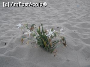 [P03]  -- <small>// FĂRĂ DESCRIERE</small> » foto by Corin7
 - 
<span class="allrVoted glyphicon glyphicon-heart hidden" id="av927187"></span>
<a class="m-l-10 hidden" id="sv927187" onclick="voting_Foto_DelVot(,927187,10181)" role="button">șterge vot <span class="glyphicon glyphicon-remove"></span></a>
<a id="v9927187" class=" c-red"  onclick="voting_Foto_SetVot(927187)" role="button"><span class="glyphicon glyphicon-heart-empty"></span> <b>LIKE</b> = Votează poza</a> <img class="hidden"  id="f927187W9" src="/imagini/loader.gif" border="0" /><span class="AjErrMes hidden" id="e927187ErM"></span>