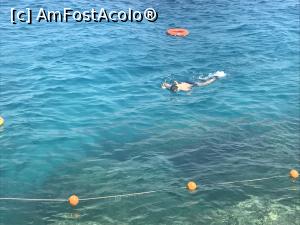 [P11] 'cineva' la snorkeling (adica sotul)  » foto by atimespeed
 - 
<span class="allrVoted glyphicon glyphicon-heart hidden" id="av911163"></span>
<a class="m-l-10 hidden" id="sv911163" onclick="voting_Foto_DelVot(,911163,10183)" role="button">șterge vot <span class="glyphicon glyphicon-remove"></span></a>
<a id="v9911163" class=" c-red"  onclick="voting_Foto_SetVot(911163)" role="button"><span class="glyphicon glyphicon-heart-empty"></span> <b>LIKE</b> = Votează poza</a> <img class="hidden"  id="f911163W9" src="/imagini/loader.gif" border="0" /><span class="AjErrMes hidden" id="e911163ErM"></span>