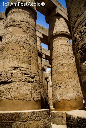 [P31] Excursie Luxor... Templul din Karnak » foto by basaku
 - 
<span class="allrVoted glyphicon glyphicon-heart hidden" id="av1035043"></span>
<a class="m-l-10 hidden" id="sv1035043" onclick="voting_Foto_DelVot(,1035043,10183)" role="button">șterge vot <span class="glyphicon glyphicon-remove"></span></a>
<a id="v91035043" class=" c-red"  onclick="voting_Foto_SetVot(1035043)" role="button"><span class="glyphicon glyphicon-heart-empty"></span> <b>LIKE</b> = Votează poza</a> <img class="hidden"  id="f1035043W9" src="/imagini/loader.gif" border="0" /><span class="AjErrMes hidden" id="e1035043ErM"></span>