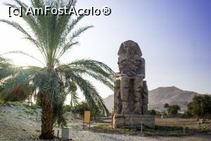 [P33] Excursie Luxor... Coloșii lui Memnon » foto by basaku
 - 
<span class="allrVoted glyphicon glyphicon-heart hidden" id="av1035045"></span>
<a class="m-l-10 hidden" id="sv1035045" onclick="voting_Foto_DelVot(,1035045,10183)" role="button">șterge vot <span class="glyphicon glyphicon-remove"></span></a>
<a id="v91035045" class=" c-red"  onclick="voting_Foto_SetVot(1035045)" role="button"><span class="glyphicon glyphicon-heart-empty"></span> <b>LIKE</b> = Votează poza</a> <img class="hidden"  id="f1035045W9" src="/imagini/loader.gif" border="0" /><span class="AjErrMes hidden" id="e1035045ErM"></span>