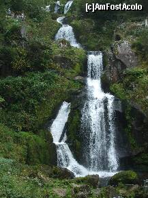 [P05] O parte din cascada din Triberg » foto by Cristian_h
 - 
<span class="allrVoted glyphicon glyphicon-heart hidden" id="av257885"></span>
<a class="m-l-10 hidden" id="sv257885" onclick="voting_Foto_DelVot(,257885,10219)" role="button">șterge vot <span class="glyphicon glyphicon-remove"></span></a>
<a id="v9257885" class=" c-red"  onclick="voting_Foto_SetVot(257885)" role="button"><span class="glyphicon glyphicon-heart-empty"></span> <b>LIKE</b> = Votează poza</a> <img class="hidden"  id="f257885W9" src="/imagini/loader.gif" border="0" /><span class="AjErrMes hidden" id="e257885ErM"></span>