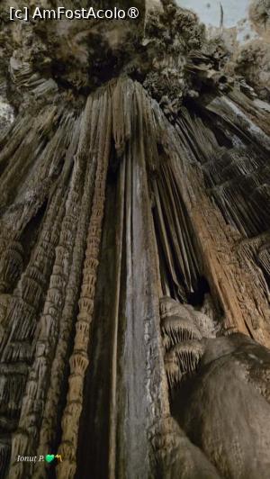 [P03]  -- <small>// FĂRĂ DESCRIERE</small> » foto by Maya_C
 - 
<span class="allrVoted glyphicon glyphicon-heart hidden" id="av1503290"></span>
<a class="m-l-10 hidden" id="sv1503290" onclick="voting_Foto_DelVot(,1503290,10280)" role="button">șterge vot <span class="glyphicon glyphicon-remove"></span></a>
<a id="v91503290" class=" c-red"  onclick="voting_Foto_SetVot(1503290)" role="button"><span class="glyphicon glyphicon-heart-empty"></span> <b>LIKE</b> = Votează poza</a> <img class="hidden"  id="f1503290W9" src="/imagini/loader.gif" border="0" /><span class="AjErrMes hidden" id="e1503290ErM"></span>