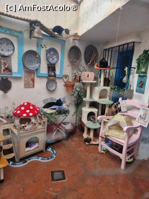 [P08]  -- <small>// FĂRĂ DESCRIERE</small> » foto by Maya_C
 - 
<span class="allrVoted glyphicon glyphicon-heart hidden" id="av1503510"></span>
<a class="m-l-10 hidden" id="sv1503510" onclick="voting_Foto_DelVot(,1503510,10280)" role="button">șterge vot <span class="glyphicon glyphicon-remove"></span></a>
<a id="v91503510" class=" c-red"  onclick="voting_Foto_SetVot(1503510)" role="button"><span class="glyphicon glyphicon-heart-empty"></span> <b>LIKE</b> = Votează poza</a> <img class="hidden"  id="f1503510W9" src="/imagini/loader.gif" border="0" /><span class="AjErrMes hidden" id="e1503510ErM"></span>