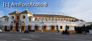 [P59] <strong>Plaza de Toros de la Real Maestranza</strong> » foto by irinad
 - 
<span class="allrVoted glyphicon glyphicon-heart hidden" id="av1418796"></span>
<a class="m-l-10 hidden" id="sv1418796" onclick="voting_Foto_DelVot(,1418796,10280)" role="button">șterge vot <span class="glyphicon glyphicon-remove"></span></a>
<a id="v91418796" class=" c-red"  onclick="voting_Foto_SetVot(1418796)" role="button"><span class="glyphicon glyphicon-heart-empty"></span> <b>LIKE</b> = Votează poza</a> <img class="hidden"  id="f1418796W9" src="/imagini/loader.gif" border="0" /><span class="AjErrMes hidden" id="e1418796ErM"></span>