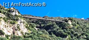 [P23] Gibraltar, Podul Suspendat » foto by irinad
 - 
<span class="allrVoted glyphicon glyphicon-heart hidden" id="av1516148"></span>
<a class="m-l-10 hidden" id="sv1516148" onclick="voting_Foto_DelVot(,1516148,10280)" role="button">șterge vot <span class="glyphicon glyphicon-remove"></span></a>
<a id="v91516148" class=" c-red"  onclick="voting_Foto_SetVot(1516148)" role="button"><span class="glyphicon glyphicon-heart-empty"></span> <b>LIKE</b> = Votează poza</a> <img class="hidden"  id="f1516148W9" src="/imagini/loader.gif" border="0" /><span class="AjErrMes hidden" id="e1516148ErM"></span>