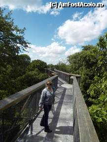 [P53] Xstrata Treetop Walkway la 18 metri deasupra solului. » foto by TraianS
 - 
<span class="allrVoted glyphicon glyphicon-heart hidden" id="av222910"></span>
<a class="m-l-10 hidden" id="sv222910" onclick="voting_Foto_DelVot(,222910,10282)" role="button">șterge vot <span class="glyphicon glyphicon-remove"></span></a>
<a id="v9222910" class=" c-red"  onclick="voting_Foto_SetVot(222910)" role="button"><span class="glyphicon glyphicon-heart-empty"></span> <b>LIKE</b> = Votează poza</a> <img class="hidden"  id="f222910W9" src="/imagini/loader.gif" border="0" /><span class="AjErrMes hidden" id="e222910ErM"></span>