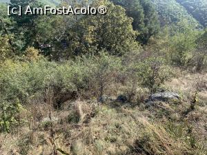 [P50] Tilișca,locul fostei fortificații » foto by AZE
 - 
<span class="allrVoted glyphicon glyphicon-heart hidden" id="av1390530"></span>
<a class="m-l-10 hidden" id="sv1390530" onclick="voting_Foto_DelVot(,1390530,10358)" role="button">șterge vot <span class="glyphicon glyphicon-remove"></span></a>
<a id="v91390530" class=" c-red"  onclick="voting_Foto_SetVot(1390530)" role="button"><span class="glyphicon glyphicon-heart-empty"></span> <b>LIKE</b> = Votează poza</a> <img class="hidden"  id="f1390530W9" src="/imagini/loader.gif" border="0" /><span class="AjErrMes hidden" id="e1390530ErM"></span>
