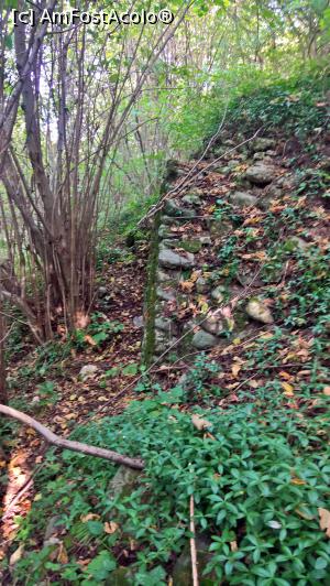 [P37] Ruine nepromovate ascunse de vegetatie » foto by AZE
 - 
<span class="allrVoted glyphicon glyphicon-heart hidden" id="av907686"></span>
<a class="m-l-10 hidden" id="sv907686" onclick="voting_Foto_DelVot(,907686,10358)" role="button">șterge vot <span class="glyphicon glyphicon-remove"></span></a>
<a id="v9907686" class=" c-red"  onclick="voting_Foto_SetVot(907686)" role="button"><span class="glyphicon glyphicon-heart-empty"></span> <b>LIKE</b> = Votează poza</a> <img class="hidden"  id="f907686W9" src="/imagini/loader.gif" border="0" /><span class="AjErrMes hidden" id="e907686ErM"></span>