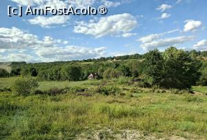 [P01] Împrejurimile Sibielului » foto by Carmen Ion
 - 
<span class="allrVoted glyphicon glyphicon-heart hidden" id="av1510364"></span>
<a class="m-l-10 hidden" id="sv1510364" onclick="voting_Foto_DelVot(,1510364,10358)" role="button">șterge vot <span class="glyphicon glyphicon-remove"></span></a>
<a id="v91510364" class=" c-red"  onclick="voting_Foto_SetVot(1510364)" role="button"><span class="glyphicon glyphicon-heart-empty"></span> <b>LIKE</b> = Votează poza</a> <img class="hidden"  id="f1510364W9" src="/imagini/loader.gif" border="0" /><span class="AjErrMes hidden" id="e1510364ErM"></span>