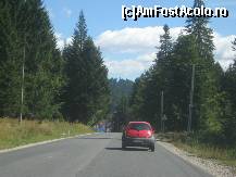 [P03] Drumul care duce dinspre Predeal spre Paraul Rece » foto by dorgo
 - 
<span class="allrVoted glyphicon glyphicon-heart hidden" id="av265474"></span>
<a class="m-l-10 hidden" id="sv265474" onclick="voting_Foto_DelVot(,265474,10390)" role="button">șterge vot <span class="glyphicon glyphicon-remove"></span></a>
<a id="v9265474" class=" c-red"  onclick="voting_Foto_SetVot(265474)" role="button"><span class="glyphicon glyphicon-heart-empty"></span> <b>LIKE</b> = Votează poza</a> <img class="hidden"  id="f265474W9" src="/imagini/loader.gif" border="0" /><span class="AjErrMes hidden" id="e265474ErM"></span>