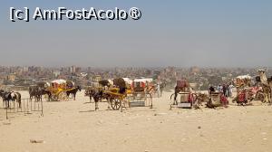 [P17] Poza de pe platoul piramidelor cu Cairo in zare » foto by vlado2
 - 
<span class="allrVoted glyphicon glyphicon-heart hidden" id="av1524265"></span>
<a class="m-l-10 hidden" id="sv1524265" onclick="voting_Foto_DelVot(,1524265,10401)" role="button">șterge vot <span class="glyphicon glyphicon-remove"></span></a>
<a id="v91524265" class=" c-red"  onclick="voting_Foto_SetVot(1524265)" role="button"><span class="glyphicon glyphicon-heart-empty"></span> <b>LIKE</b> = Votează poza</a> <img class="hidden"  id="f1524265W9" src="/imagini/loader.gif" border="0" /><span class="AjErrMes hidden" id="e1524265ErM"></span>