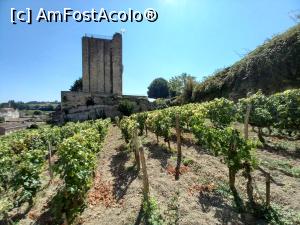 [P40] <strong>Tour du Roy</strong> » foto by Mika
 - 
<span class="allrVoted glyphicon glyphicon-heart hidden" id="av1281341"></span>
<a class="m-l-10 hidden" id="sv1281341" onclick="voting_Foto_DelVot(,1281341,10440)" role="button">șterge vot <span class="glyphicon glyphicon-remove"></span></a>
<a id="v91281341" class=" c-red"  onclick="voting_Foto_SetVot(1281341)" role="button"><span class="glyphicon glyphicon-heart-empty"></span> <b>LIKE</b> = Votează poza</a> <img class="hidden"  id="f1281341W9" src="/imagini/loader.gif" border="0" /><span class="AjErrMes hidden" id="e1281341ErM"></span>