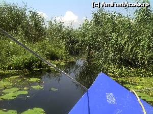 [P14] Si totuși, cum să ne descurcăm pe astfel de canale... :-)  » foto by FlorinAndrei
 - 
<span class="allrVoted glyphicon glyphicon-heart hidden" id="av612968"></span>
<a class="m-l-10 hidden" id="sv612968" onclick="voting_Foto_DelVot(,612968,10451)" role="button">șterge vot <span class="glyphicon glyphicon-remove"></span></a>
<a id="v9612968" class=" c-red"  onclick="voting_Foto_SetVot(612968)" role="button"><span class="glyphicon glyphicon-heart-empty"></span> <b>LIKE</b> = Votează poza</a> <img class="hidden"  id="f612968W9" src="/imagini/loader.gif" border="0" /><span class="AjErrMes hidden" id="e612968ErM"></span>