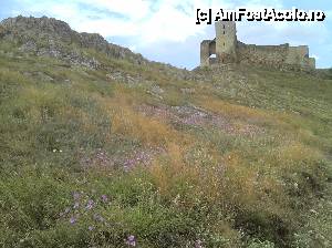 [P02] Cetatea Enisala » foto by FlorinAndrei
 - 
<span class="allrVoted glyphicon glyphicon-heart hidden" id="av611882"></span>
<a class="m-l-10 hidden" id="sv611882" onclick="voting_Foto_DelVot(,611882,10451)" role="button">șterge vot <span class="glyphicon glyphicon-remove"></span></a>
<a id="v9611882" class=" c-red"  onclick="voting_Foto_SetVot(611882)" role="button"><span class="glyphicon glyphicon-heart-empty"></span> <b>LIKE</b> = Votează poza</a> <img class="hidden"  id="f611882W9" src="/imagini/loader.gif" border="0" /><span class="AjErrMes hidden" id="e611882ErM"></span>