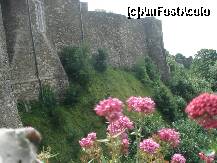 [P11] si privind catere zidurile exterioare ale castelului » foto by a.sr*
 - 
<span class="allrVoted glyphicon glyphicon-heart hidden" id="av272181"></span>
<a class="m-l-10 hidden" id="sv272181" onclick="voting_Foto_DelVot(,272181,10527)" role="button">șterge vot <span class="glyphicon glyphicon-remove"></span></a>
<a id="v9272181" class=" c-red"  onclick="voting_Foto_SetVot(272181)" role="button"><span class="glyphicon glyphicon-heart-empty"></span> <b>LIKE</b> = Votează poza</a> <img class="hidden"  id="f272181W9" src="/imagini/loader.gif" border="0" /><span class="AjErrMes hidden" id="e272181ErM"></span>