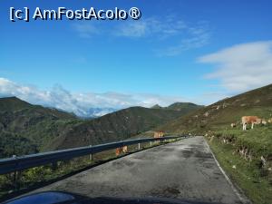 [P04] Coborârea de la Alto de El Torno » foto by Marius 72
 - 
<span class="allrVoted glyphicon glyphicon-heart hidden" id="av1431430"></span>
<a class="m-l-10 hidden" id="sv1431430" onclick="voting_Foto_DelVot(,1431430,10554)" role="button">șterge vot <span class="glyphicon glyphicon-remove"></span></a>
<a id="v91431430" class=" c-red"  onclick="voting_Foto_SetVot(1431430)" role="button"><span class="glyphicon glyphicon-heart-empty"></span> <b>LIKE</b> = Votează poza</a> <img class="hidden"  id="f1431430W9" src="/imagini/loader.gif" border="0" /><span class="AjErrMes hidden" id="e1431430ErM"></span>