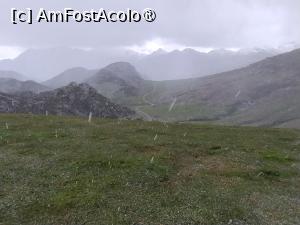 [P09] Ploaia obraznică » foto by Marius 72
 - 
<span class="allrVoted glyphicon glyphicon-heart hidden" id="av1431435"></span>
<a class="m-l-10 hidden" id="sv1431435" onclick="voting_Foto_DelVot(,1431435,10554)" role="button">șterge vot <span class="glyphicon glyphicon-remove"></span></a>
<a id="v91431435" class=" c-red"  onclick="voting_Foto_SetVot(1431435)" role="button"><span class="glyphicon glyphicon-heart-empty"></span> <b>LIKE</b> = Votează poza</a> <img class="hidden"  id="f1431435W9" src="/imagini/loader.gif" border="0" /><span class="AjErrMes hidden" id="e1431435ErM"></span>