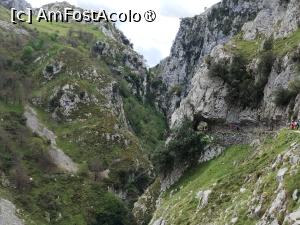 [P10] Drumeţi pe Ruta del Cares » foto by Marius 72
 - 
<span class="allrVoted glyphicon glyphicon-heart hidden" id="av1433306"></span>
<a class="m-l-10 hidden" id="sv1433306" onclick="voting_Foto_DelVot(,1433306,10554)" role="button">șterge vot <span class="glyphicon glyphicon-remove"></span></a>
<a id="v91433306" class=" c-red"  onclick="voting_Foto_SetVot(1433306)" role="button"><span class="glyphicon glyphicon-heart-empty"></span> <b>LIKE</b> = Votează poza</a> <img class="hidden"  id="f1433306W9" src="/imagini/loader.gif" border="0" /><span class="AjErrMes hidden" id="e1433306ErM"></span>