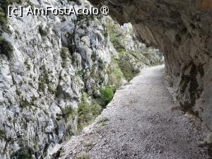 [P19] Ruta del Cares » foto by Marius 72
 - 
<span class="allrVoted glyphicon glyphicon-heart hidden" id="av1433317"></span>
<a class="m-l-10 hidden" id="sv1433317" onclick="voting_Foto_DelVot(,1433317,10554)" role="button">șterge vot <span class="glyphicon glyphicon-remove"></span></a>
<a id="v91433317" class=" c-red"  onclick="voting_Foto_SetVot(1433317)" role="button"><span class="glyphicon glyphicon-heart-empty"></span> <b>LIKE</b> = Votează poza</a> <img class="hidden"  id="f1433317W9" src="/imagini/loader.gif" border="0" /><span class="AjErrMes hidden" id="e1433317ErM"></span>