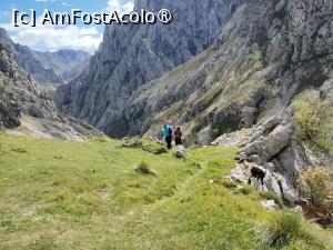 [P20] Loc de popas » foto by Marius 72
 - 
<span class="allrVoted glyphicon glyphicon-heart hidden" id="av1433318"></span>
<a class="m-l-10 hidden" id="sv1433318" onclick="voting_Foto_DelVot(,1433318,10554)" role="button">șterge vot <span class="glyphicon glyphicon-remove"></span></a>
<a id="v91433318" class=" c-red"  onclick="voting_Foto_SetVot(1433318)" role="button"><span class="glyphicon glyphicon-heart-empty"></span> <b>LIKE</b> = Votează poza</a> <img class="hidden"  id="f1433318W9" src="/imagini/loader.gif" border="0" /><span class="AjErrMes hidden" id="e1433318ErM"></span>