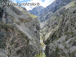 [P08] În stânga şerpuieşte poteca » foto by Marius 72
 - 
<span class="allrVoted glyphicon glyphicon-heart hidden" id="av1433304"></span>
<a class="m-l-10 hidden" id="sv1433304" onclick="voting_Foto_DelVot(,1433304,10554)" role="button">șterge vot <span class="glyphicon glyphicon-remove"></span></a>
<a id="v91433304" class=" c-red"  onclick="voting_Foto_SetVot(1433304)" role="button"><span class="glyphicon glyphicon-heart-empty"></span> <b>LIKE</b> = Votează poza</a> <img class="hidden"  id="f1433304W9" src="/imagini/loader.gif" border="0" /><span class="AjErrMes hidden" id="e1433304ErM"></span>