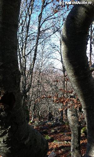 [P16]  -- <small>// FĂRĂ DESCRIERE</small> » foto by alinaro
 - 
<span class="allrVoted glyphicon glyphicon-heart hidden" id="av690506"></span>
<a class="m-l-10 hidden" id="sv690506" onclick="voting_Foto_DelVot(,690506,10572)" role="button">șterge vot <span class="glyphicon glyphicon-remove"></span></a>
<a id="v9690506" class=" c-red"  onclick="voting_Foto_SetVot(690506)" role="button"><span class="glyphicon glyphicon-heart-empty"></span> <b>LIKE</b> = Votează poza</a> <img class="hidden"  id="f690506W9" src="/imagini/loader.gif" border="0" /><span class="AjErrMes hidden" id="e690506ErM"></span>