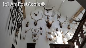 [P12] Muzeul - aici sunt și trofee din Carpați » foto by makuy*
 - 
<span class="allrVoted glyphicon glyphicon-heart hidden" id="av1103913"></span>
<a class="m-l-10 hidden" id="sv1103913" onclick="voting_Foto_DelVot(,1103913,10598)" role="button">șterge vot <span class="glyphicon glyphicon-remove"></span></a>
<a id="v91103913" class=" c-red"  onclick="voting_Foto_SetVot(1103913)" role="button"><span class="glyphicon glyphicon-heart-empty"></span> <b>LIKE</b> = Votează poza</a> <img class="hidden"  id="f1103913W9" src="/imagini/loader.gif" border="0" /><span class="AjErrMes hidden" id="e1103913ErM"></span>