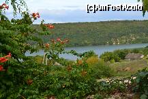 [P01] Vedere spre Nistru » foto by beky4one
 - 
<span class="allrVoted glyphicon glyphicon-heart hidden" id="av276247"></span>
<a class="m-l-10 hidden" id="sv276247" onclick="voting_Foto_DelVot(,276247,10609)" role="button">șterge vot <span class="glyphicon glyphicon-remove"></span></a>
<a id="v9276247" class=" c-red"  onclick="voting_Foto_SetVot(276247)" role="button"><span class="glyphicon glyphicon-heart-empty"></span> <b>LIKE</b> = Votează poza</a> <img class="hidden"  id="f276247W9" src="/imagini/loader.gif" border="0" /><span class="AjErrMes hidden" id="e276247ErM"></span>