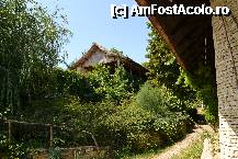 [P09]  -- <small>// FĂRĂ DESCRIERE</small> » foto by beky4one
 - 
<span class="allrVoted glyphicon glyphicon-heart hidden" id="av276462"></span>
<a class="m-l-10 hidden" id="sv276462" onclick="voting_Foto_DelVot(,276462,10609)" role="button">șterge vot <span class="glyphicon glyphicon-remove"></span></a>
<a id="v9276462" class=" c-red"  onclick="voting_Foto_SetVot(276462)" role="button"><span class="glyphicon glyphicon-heart-empty"></span> <b>LIKE</b> = Votează poza</a> <img class="hidden"  id="f276462W9" src="/imagini/loader.gif" border="0" /><span class="AjErrMes hidden" id="e276462ErM"></span>