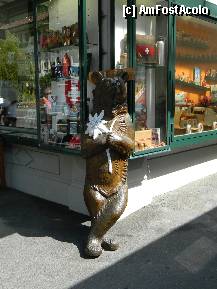 [P24] Ursuletul din Interlaken..la panda :)) cu o floare! » foto by ileanaxperta*
 - 
<span class="allrVoted glyphicon glyphicon-heart hidden" id="av276540"></span>
<a class="m-l-10 hidden" id="sv276540" onclick="voting_Foto_DelVot(,276540,10615)" role="button">șterge vot <span class="glyphicon glyphicon-remove"></span></a>
<a id="v9276540" class=" c-red"  onclick="voting_Foto_SetVot(276540)" role="button"><span class="glyphicon glyphicon-heart-empty"></span> <b>LIKE</b> = Votează poza</a> <img class="hidden"  id="f276540W9" src="/imagini/loader.gif" border="0" /><span class="AjErrMes hidden" id="e276540ErM"></span>