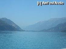 [P35] Lacul Thun din mersul masinii...la plecarea din Interlaken » foto by ileanaxperta*
 - 
<span class="allrVoted glyphicon glyphicon-heart hidden" id="av276555"></span>
<a class="m-l-10 hidden" id="sv276555" onclick="voting_Foto_DelVot(,276555,10615)" role="button">șterge vot <span class="glyphicon glyphicon-remove"></span></a>
<a id="v9276555" class=" c-red"  onclick="voting_Foto_SetVot(276555)" role="button"><span class="glyphicon glyphicon-heart-empty"></span> <b>LIKE</b> = Votează poza</a> <img class="hidden"  id="f276555W9" src="/imagini/loader.gif" border="0" /><span class="AjErrMes hidden" id="e276555ErM"></span>