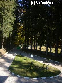 [P23] “De ce iubim România”?...Curtea  Casei George Enescu din Sinaia, vedere din foişor » foto by magdalena
 - 
<span class="allrVoted glyphicon glyphicon-heart hidden" id="av278712"></span>
<a class="m-l-10 hidden" id="sv278712" onclick="voting_Foto_DelVot(,278712,10662)" role="button">șterge vot <span class="glyphicon glyphicon-remove"></span></a>
<a id="v9278712" class=" c-red"  onclick="voting_Foto_SetVot(278712)" role="button"><span class="glyphicon glyphicon-heart-empty"></span> <b>LIKE</b> = Votează poza</a> <img class="hidden"  id="f278712W9" src="/imagini/loader.gif" border="0" /><span class="AjErrMes hidden" id="e278712ErM"></span>
