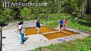 [P02] Băile Vallato: trei bazine de lemn în care gazele mofetice bolborosesc în apa minerală. Apa minerală nu este murdară ci așa apare ea datorită conținutului în fier. În spate este puntea și cărarea care duc la mofetă.  » foto by Lucien
 - 
<span class="allrVoted glyphicon glyphicon-heart hidden" id="av800327"></span>
<a class="m-l-10 hidden" id="sv800327" onclick="voting_Foto_DelVot(,800327,10680)" role="button">șterge vot <span class="glyphicon glyphicon-remove"></span></a>
<a id="v9800327" class=" c-red"  onclick="voting_Foto_SetVot(800327)" role="button"><span class="glyphicon glyphicon-heart-empty"></span> <b>LIKE</b> = Votează poza</a> <img class="hidden"  id="f800327W9" src="/imagini/loader.gif" border="0" /><span class="AjErrMes hidden" id="e800327ErM"></span>