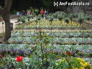[P21] Alhambra » foto by cryss27
 - 
<span class="allrVoted glyphicon glyphicon-heart hidden" id="av385928"></span>
<a class="m-l-10 hidden" id="sv385928" onclick="voting_Foto_DelVot(,385928,10692)" role="button">șterge vot <span class="glyphicon glyphicon-remove"></span></a>
<a id="v9385928" class=" c-red"  onclick="voting_Foto_SetVot(385928)" role="button"><span class="glyphicon glyphicon-heart-empty"></span> <b>LIKE</b> = Votează poza</a> <img class="hidden"  id="f385928W9" src="/imagini/loader.gif" border="0" /><span class="AjErrMes hidden" id="e385928ErM"></span>