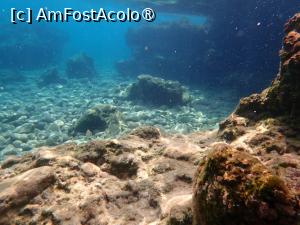 [P15] Barbati beach - peisaje submarine » foto by Dragoș_MD
 - 
<span class="allrVoted glyphicon glyphicon-heart hidden" id="av1502372"></span>
<a class="m-l-10 hidden" id="sv1502372" onclick="voting_Foto_DelVot(,1502372,10695)" role="button">șterge vot <span class="glyphicon glyphicon-remove"></span></a>
<a id="v91502372" class=" c-red"  onclick="voting_Foto_SetVot(1502372)" role="button"><span class="glyphicon glyphicon-heart-empty"></span> <b>LIKE</b> = Votează poza</a> <img class="hidden"  id="f1502372W9" src="/imagini/loader.gif" border="0" /><span class="AjErrMes hidden" id="e1502372ErM"></span>