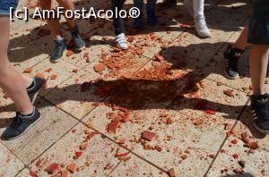 [P15] Cioburile oalelor sparte » foto by Ioan Raita
 - 
<span class="allrVoted glyphicon glyphicon-heart hidden" id="av738067"></span>
<a class="m-l-10 hidden" id="sv738067" onclick="voting_Foto_DelVot(,738067,10697)" role="button">șterge vot <span class="glyphicon glyphicon-remove"></span></a>
<a id="v9738067" class=" c-red"  onclick="voting_Foto_SetVot(738067)" role="button"><span class="glyphicon glyphicon-heart-empty"></span> <b>LIKE</b> = Votează poza</a> <img class="hidden"  id="f738067W9" src="/imagini/loader.gif" border="0" /><span class="AjErrMes hidden" id="e738067ErM"></span>