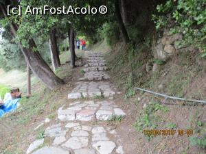 [P10] Spre terasele din deal.  » foto by elviramvio
 - 
<span class="allrVoted glyphicon glyphicon-heart hidden" id="av803107"></span>
<a class="m-l-10 hidden" id="sv803107" onclick="voting_Foto_DelVot(,803107,10697)" role="button">șterge vot <span class="glyphicon glyphicon-remove"></span></a>
<a id="v9803107" class=" c-red"  onclick="voting_Foto_SetVot(803107)" role="button"><span class="glyphicon glyphicon-heart-empty"></span> <b>LIKE</b> = Votează poza</a> <img class="hidden"  id="f803107W9" src="/imagini/loader.gif" border="0" /><span class="AjErrMes hidden" id="e803107ErM"></span>