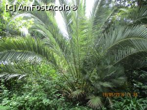 [P16]  -- <small>// FĂRĂ DESCRIERE</small> » foto by elviramvio
 - 
<span class="allrVoted glyphicon glyphicon-heart hidden" id="av803113"></span>
<a class="m-l-10 hidden" id="sv803113" onclick="voting_Foto_DelVot(,803113,10697)" role="button">șterge vot <span class="glyphicon glyphicon-remove"></span></a>
<a id="v9803113" class=" c-red"  onclick="voting_Foto_SetVot(803113)" role="button"><span class="glyphicon glyphicon-heart-empty"></span> <b>LIKE</b> = Votează poza</a> <img class="hidden"  id="f803113W9" src="/imagini/loader.gif" border="0" /><span class="AjErrMes hidden" id="e803113ErM"></span>