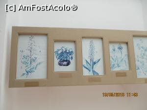 [P26]  -- <small>// FĂRĂ DESCRIERE</small> » foto by elviramvio
 - 
<span class="allrVoted glyphicon glyphicon-heart hidden" id="av803123"></span>
<a class="m-l-10 hidden" id="sv803123" onclick="voting_Foto_DelVot(,803123,10697)" role="button">șterge vot <span class="glyphicon glyphicon-remove"></span></a>
<a id="v9803123" class=" c-red"  onclick="voting_Foto_SetVot(803123)" role="button"><span class="glyphicon glyphicon-heart-empty"></span> <b>LIKE</b> = Votează poza</a> <img class="hidden"  id="f803123W9" src="/imagini/loader.gif" border="0" /><span class="AjErrMes hidden" id="e803123ErM"></span>