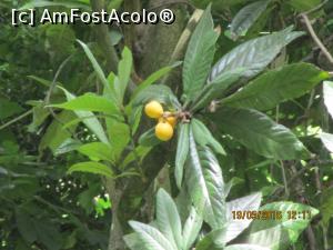 [P37]  -- <small>// FĂRĂ DESCRIERE</small> » foto by elviramvio
 - 
<span class="allrVoted glyphicon glyphicon-heart hidden" id="av803142"></span>
<a class="m-l-10 hidden" id="sv803142" onclick="voting_Foto_DelVot(,803142,10697)" role="button">șterge vot <span class="glyphicon glyphicon-remove"></span></a>
<a id="v9803142" class=" c-red"  onclick="voting_Foto_SetVot(803142)" role="button"><span class="glyphicon glyphicon-heart-empty"></span> <b>LIKE</b> = Votează poza</a> <img class="hidden"  id="f803142W9" src="/imagini/loader.gif" border="0" /><span class="AjErrMes hidden" id="e803142ErM"></span>