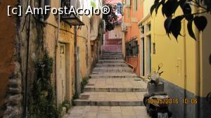 [P05] O katounia în trepte.  » foto by elviramvio
 - 
<span class="allrVoted glyphicon glyphicon-heart hidden" id="av805099"></span>
<a class="m-l-10 hidden" id="sv805099" onclick="voting_Foto_DelVot(,805099,10697)" role="button">șterge vot <span class="glyphicon glyphicon-remove"></span></a>
<a id="v9805099" class=" c-red"  onclick="voting_Foto_SetVot(805099)" role="button"><span class="glyphicon glyphicon-heart-empty"></span> <b>LIKE</b> = Votează poza</a> <img class="hidden"  id="f805099W9" src="/imagini/loader.gif" border="0" /><span class="AjErrMes hidden" id="e805099ErM"></span>